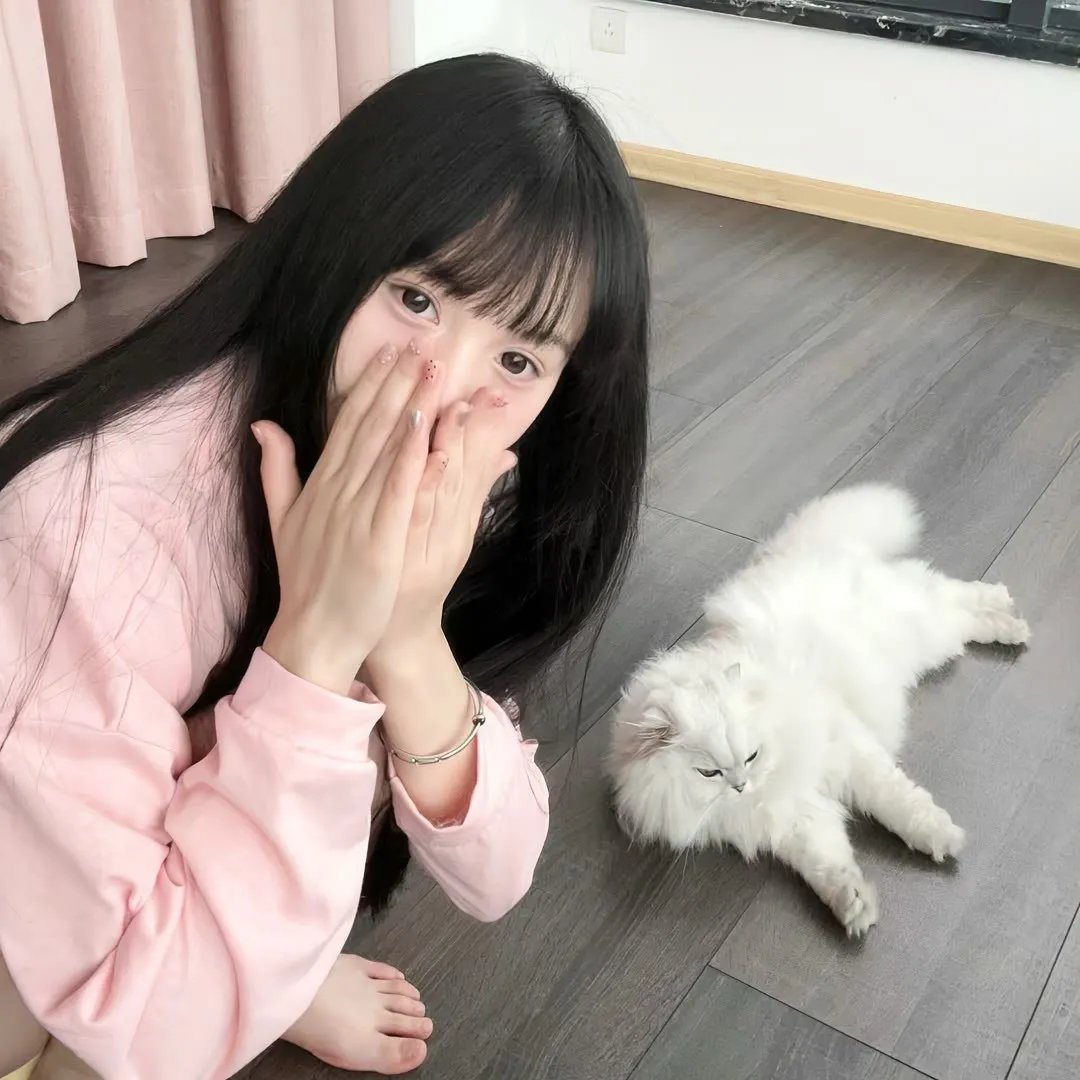 红酒烩鸡2